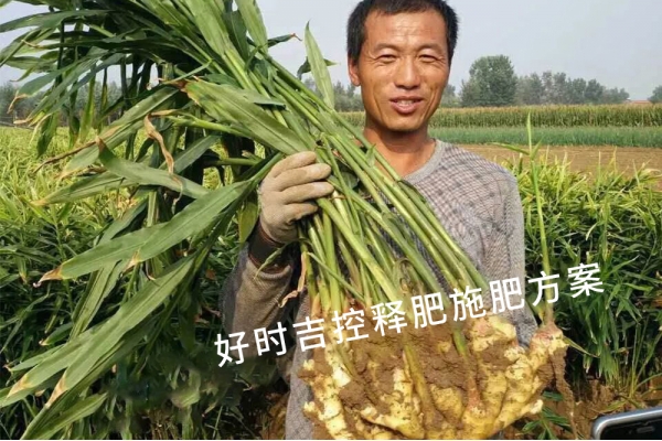 姜農(nóng)滿(mǎn)意，效果杠杠的！